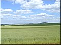 Olympus C2000Z
